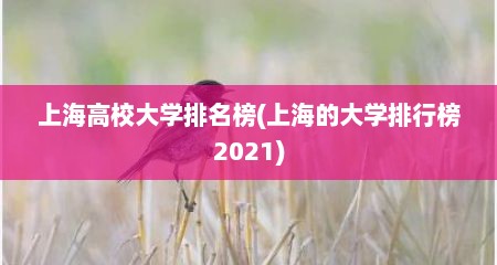 上海高校大学排名榜(上海的大学排行榜2021)
