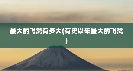 最大的飞禽有多大(有史以来最大的飞禽)