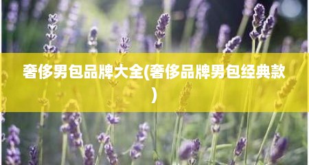 奢侈男包品牌大全(奢侈品牌男包经典款)