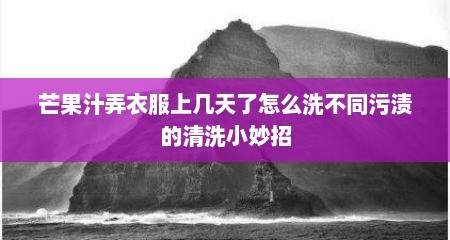 芒果汁弄衣服上几天了怎么洗不同污渍的清洗小妙招