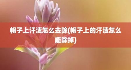 帽子上汗渍怎么去除(帽子上的汗渍怎么能除掉)