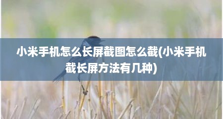 小米手机怎么长屏截图怎么截(小米手机截长屏方法有几种)