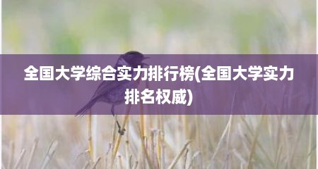 全国大学综合实力排行榜(全国大学实力排名权威)