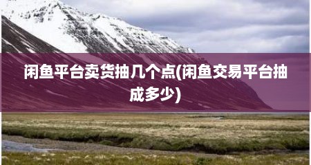 闲鱼平台卖货抽几个点(闲鱼交易平台抽成多少)