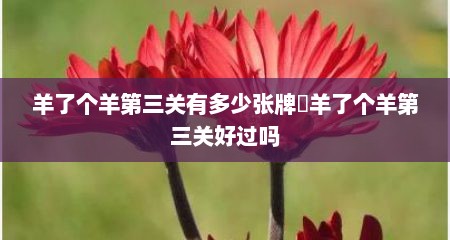 羊了个羊第三关有多少张牌​羊了个羊第三关好过吗