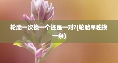 轮胎一次换一个还是一对?(轮胎单独换一条)