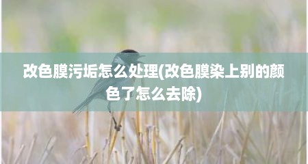 改色膜污垢怎么处理(改色膜染上别的颜色了怎么去除)