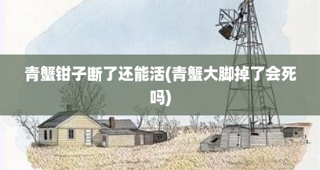 青蟹钳子断了还能活(青蟹大脚掉了会死吗)