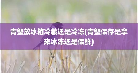 青蟹放冰箱冷藏还是冷冻(青蟹保存是拿来冰冻还是保鲜)