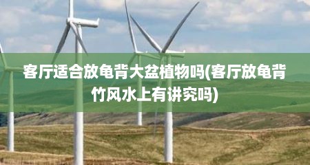 客厅适合放龟背大盆植物吗(客厅放龟背竹风水上有讲究吗)
