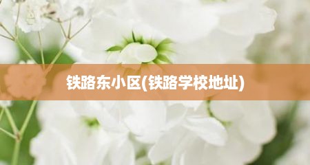 铁路东小区(铁路学校地址)