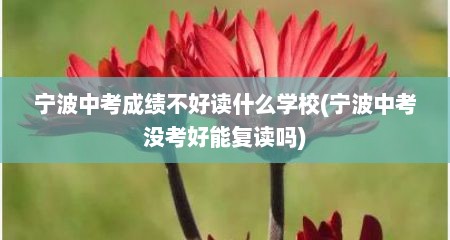 宁波中考成绩不好读什么学校(宁波中考没考好能复读吗)