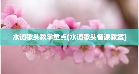 水调歌头教学重点(水调歌头备课教案)