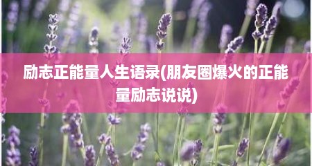 励志正能量人生语录(朋友圈爆火的正能量励志说说)