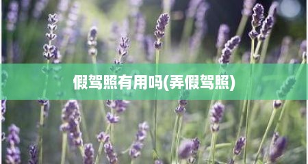假驾照有用吗(弄假驾照)