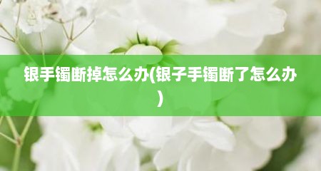 银手镯断掉怎么办(银子手镯断了怎么办)