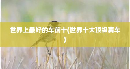 世界上最好的车前十(世界十大顶级赛车)