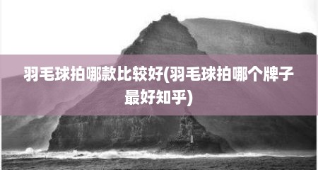 羽毛球拍哪款比较好(羽毛球拍哪个牌子最好知乎)