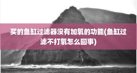 买的鱼缸过滤器没有加氧的功能(鱼缸过滤不打氧怎么回事)