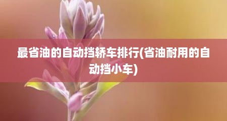 最省油的自动挡轿车排行(省油耐用的自动挡小车)