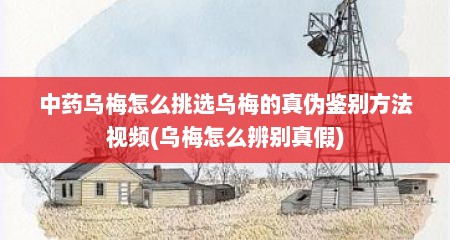 中药乌梅怎么挑选乌梅的真伪鉴别方法视频(乌梅怎么辨别真假)