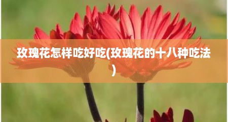 玫瑰花怎样吃好吃(玫瑰花的十八种吃法)