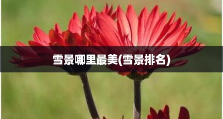 雪景哪里最美(雪景排名)