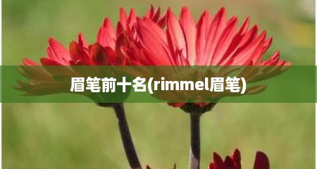 眉笔前十名(rimmel眉笔)