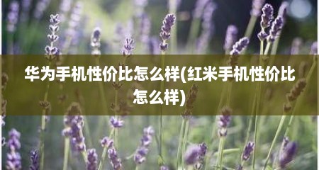 华为手机性价比怎么样(红米手机性价比怎么样)