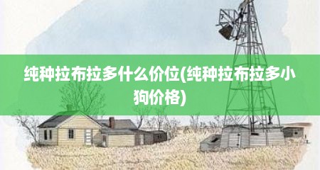 纯种拉布拉多什么价位(纯种拉布拉多小狗价格)