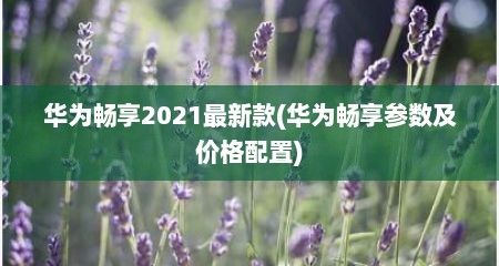 华为畅享2021最新款(华为畅享参数及价格配置)