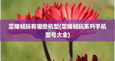 荣耀畅玩有哪些机型(荣耀畅玩系列手机型号大全)