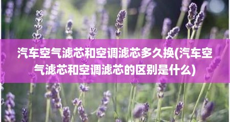 汽车空气滤芯和空调滤芯多久换(汽车空气滤芯和空调滤芯的区别是什么)
