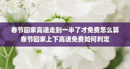 春节回家高速走到一半了才免费怎么算春节回家上下高速免费如何判定