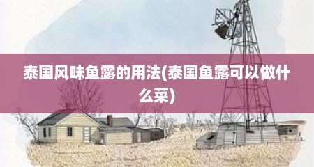 泰国风味鱼露的用法(泰国鱼露可以做什么菜)