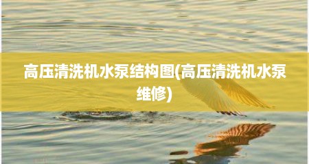 高压清洗机水泵结构图(高压清洗机水泵维修)