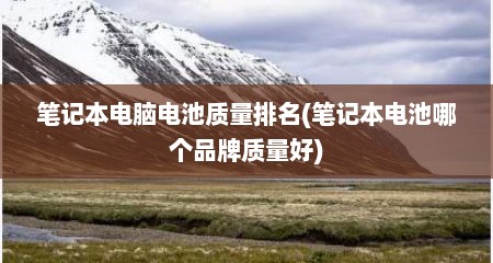 笔记本电脑电池质量排名(笔记本电池哪个品牌质量好)
