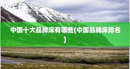 中国十大品牌床有哪些(中国品牌床排名)