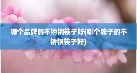 哪个品牌的不锈钢筷子好(哪个牌子的不锈钢筷子好)