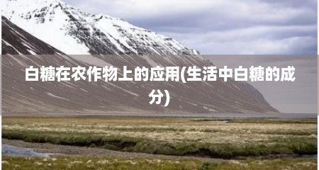 白糖在农作物上的应用(生活中白糖的成分)