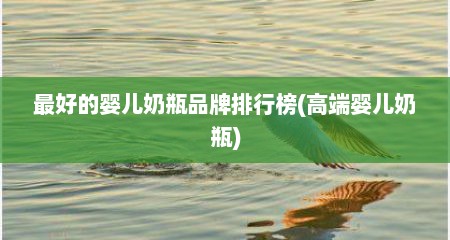最好的婴儿奶瓶品牌排行榜(高端婴儿奶瓶)