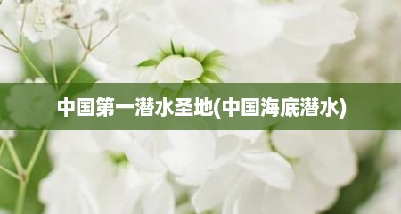 中国第一潜水圣地(中国海底潜水)