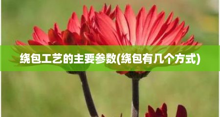 绕包工艺的主要参数(绕包有几个方式)