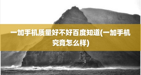 一加手机质量好不好百度知道(一加手机究竟怎么样)