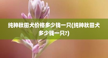 纯种秋田犬价格多少钱一只(纯种秋田犬多少钱一只?)
