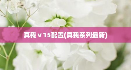 真我ⅴ15配置(真我系列最新)