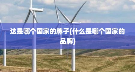 这是哪个国家的牌子(什么是哪个国家的品牌)
