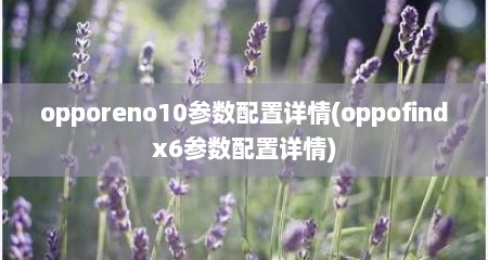opporeno10参数配置详情(oppofindx6参数配置详情)