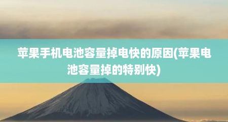 苹果手机电池容量掉电快的原因(苹果电池容量掉的特别快)
