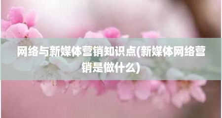 网络与新媒体营销知识点(新媒体网络营销是做什么)